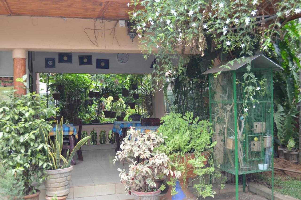 Familyhouse Negombo Exterior foto