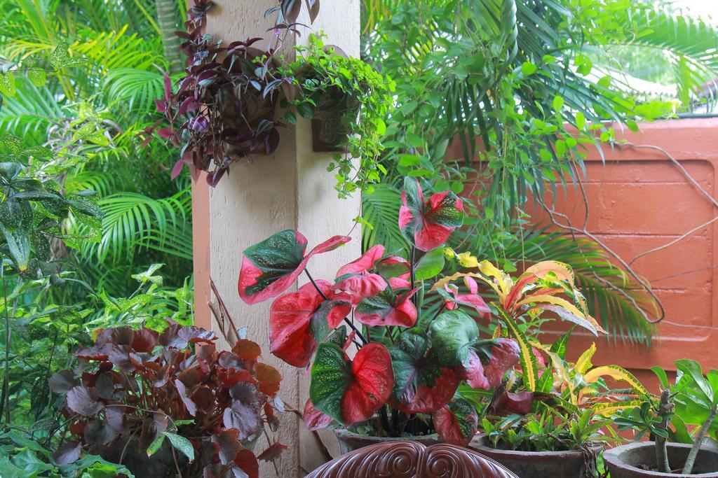 Familyhouse Negombo Quarto foto